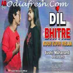 Dil Bhitre Kuch Kuch Hela